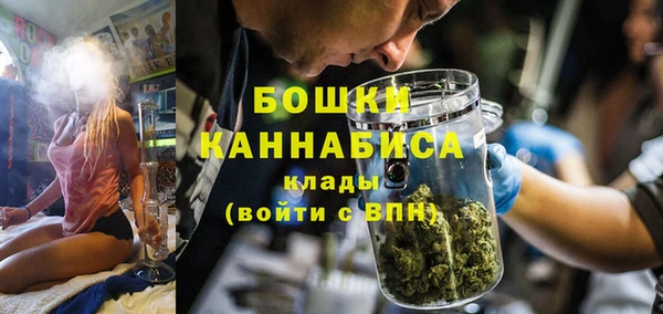 сатива Богданович